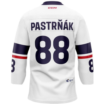 Jégkorong képviselet hoki mez Czech Republic  2023/2024 CCM Fandres replica - white David Pastrňák #88