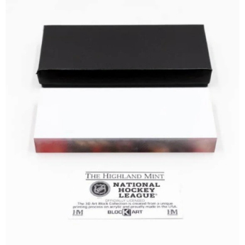 Chicago Blackhawks kép keretben Connor Bedard picture