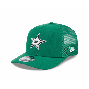 Dallas Stars baseball sapka NEW ERA 970SS SP26 green