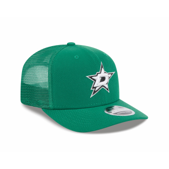 Dallas Stars baseball sapka NEW ERA 970SS SP26 green