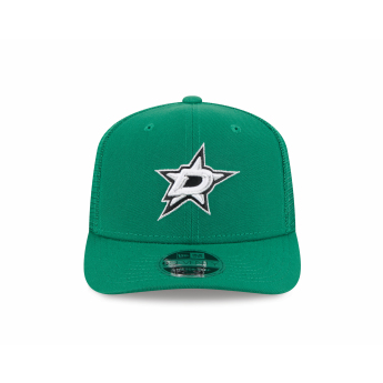 Dallas Stars baseball sapka NEW ERA 970SS SP26 green