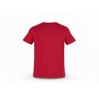 Calgary Flames gyerek póló NHL Clean Cut red