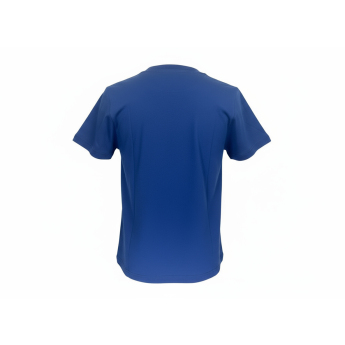 Toronto Maple Leafs gyerek póló Divide Ss Ctn Tee