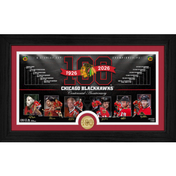 Chicago Blackhawks gyűjtői plakett 100th bronze coin Timeline photo mint