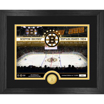 Boston Bruins plakát NHL Team Rink Photo Bronze Coin Photo Mint