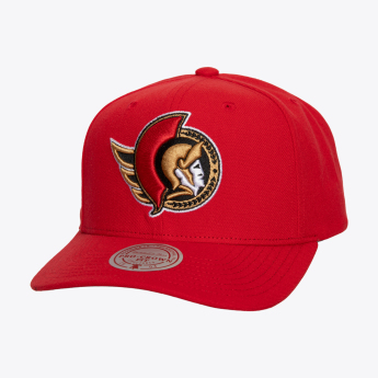 Ottawa Senators baseball sapka Team Ground 2.0 Pro Snapback