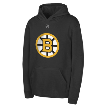 Boston Bruins gyerek kapucnis pulóver David Pastrnak #88 NHL Flat Name & Number Fleece
