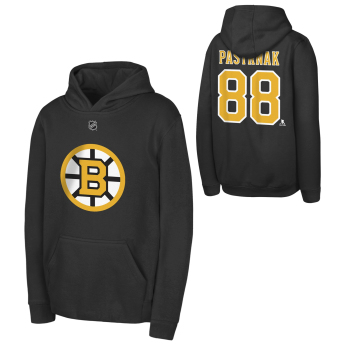 Boston Bruins gyerek kapucnis pulóver David Pastrnak #88 NHL Flat Name & Number Fleece