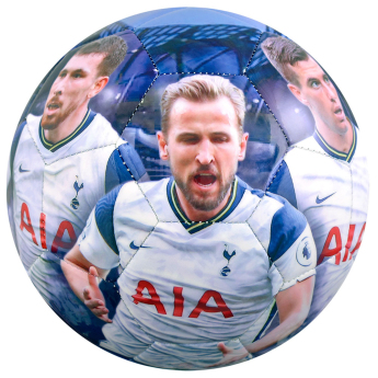 Tottenham futball labda players photo football