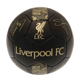 FC Liverpool mini focilabda Skill Ball Signature Gold PH size 1