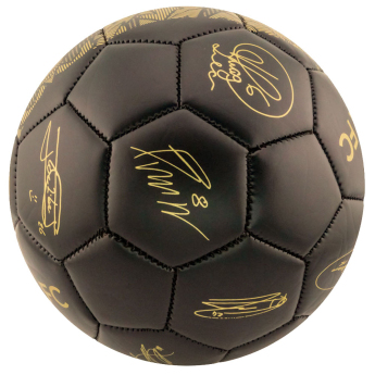 FC Chelsea futball labda Signature Gold PH - size 5