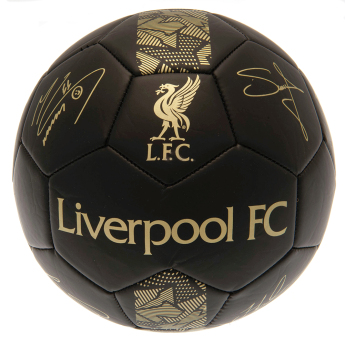 FC Liverpool futball labda Signature Gold PH - size 5
