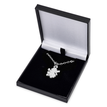 Aston Villa nyaklánc medállal Silver Plated Boxed Pendant LN