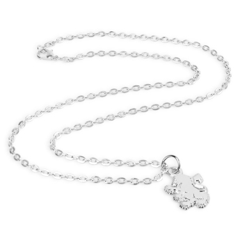 Aston Villa nyaklánc medállal Silver Plated Boxed Pendant LN