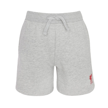FC Liverpool gyerek rövidnadrág Sweat grey