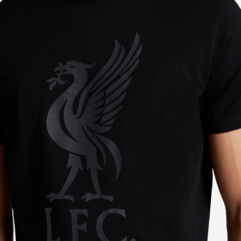 FC Liverpool férfi póló Liverbird black