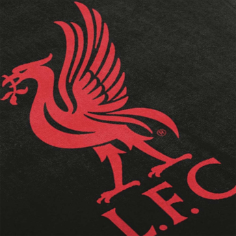 FC Liverpool takaró Dark Rayz