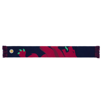 Labdarúgó válogatott téli sál Crest Scarf