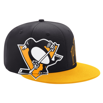 Pittsburgh Penguins baseball flat sapka Big Fan