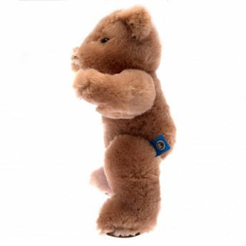 Manchester City plüss mackó George Bear