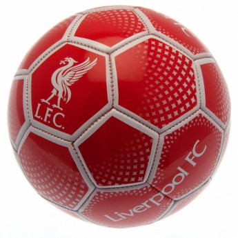 FC Liverpool futball labda Football DM