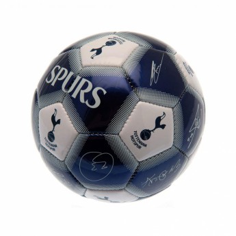 Tottenham aláírt labda Mini Ball Signature