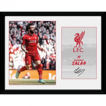 FC Liverpool kép keretben 11Salah 16 x 12