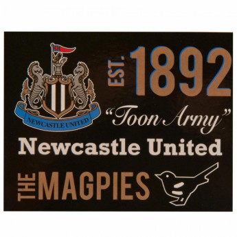 Newcastle United gyapjú takaró Fleece Blanket