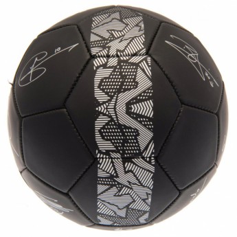 Tottenham futball labda Football Signature PH - size 5