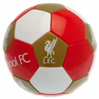 FC Liverpool futball labda Football - size 3